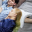 Slow Rebound Pressure Pillow - bonzenga collections